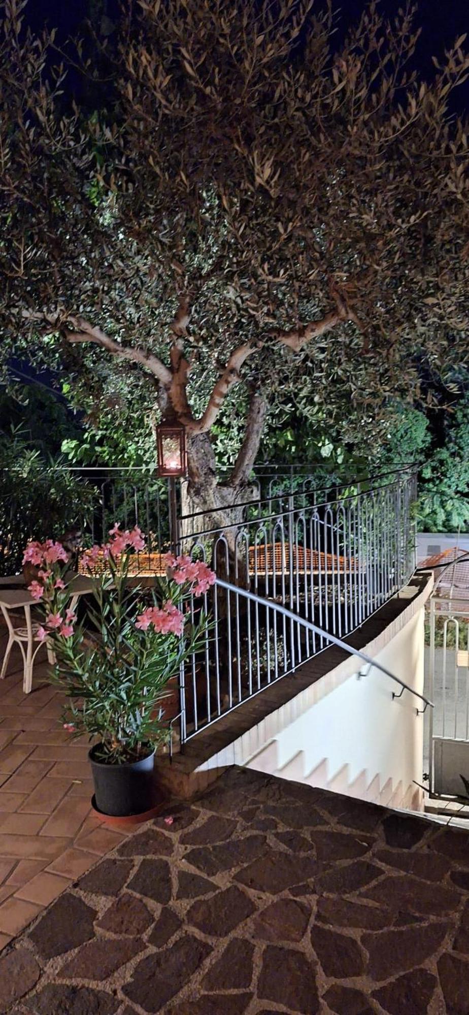 B&B Palazzo Mestichelli Boutique Palace Monteprandone Eksteriør billede